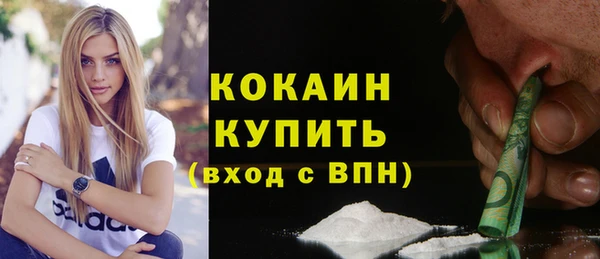 Альфа ПВП Пересвет