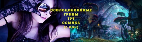 бошки Переславль-Залесский
